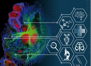 3D Cell Culture conferences